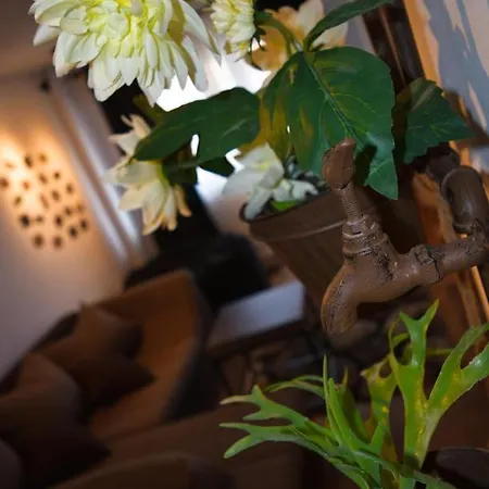 Apartment Sweet 24 Brasov